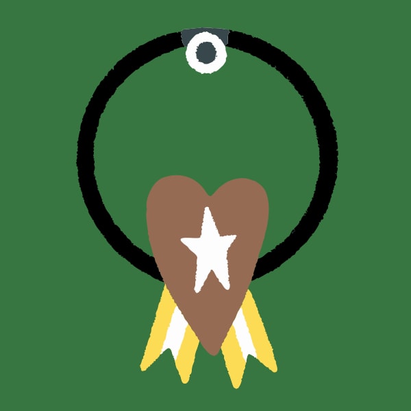 A Pendant Necklace A Heart Shaped Anise Star With A Ring Around It Set Against A Green Background — Stock Vector