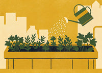 Illustration Of An Urban Garden With A Watering Can Pouring Water Into It Surrounded By City Buildings And Greenery — Stock Illustration