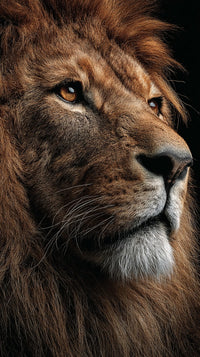 Lion Portrait With A Close Up View Of The Majestic Animal S Face Showcasing Its Powerful Features And Striking Mane — Stock Photo