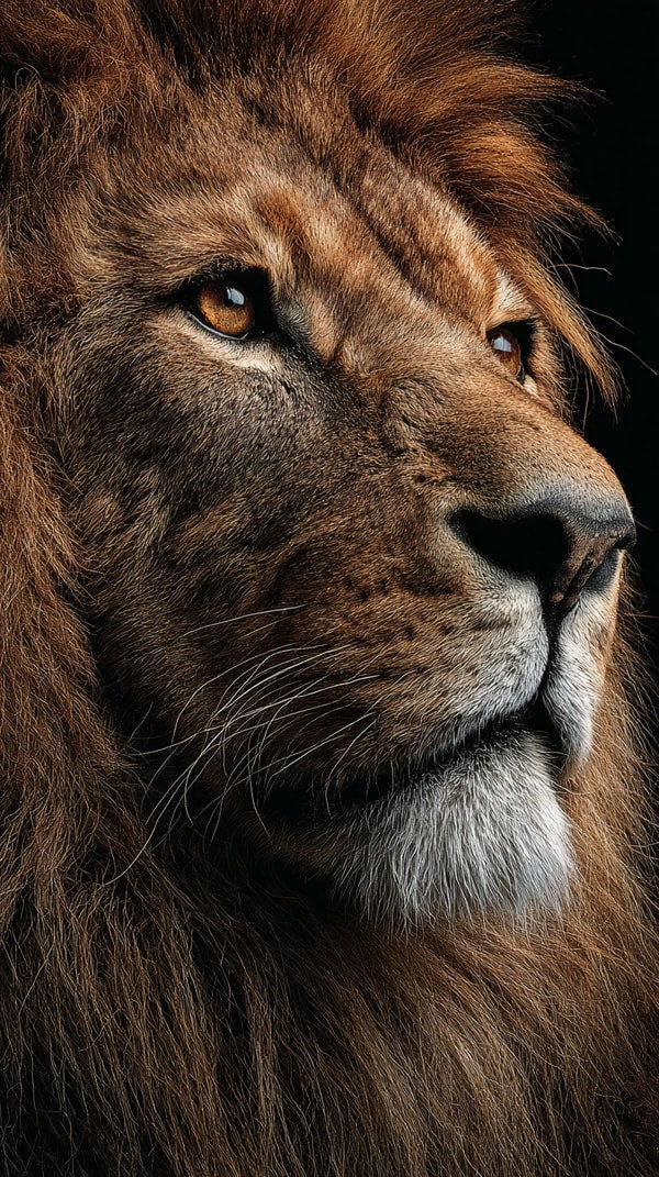 Lion Portrait With A Close Up View Of The Majestic Animal S Face Showcasing Its Powerful Features And Striking Mane — Stock Photo
