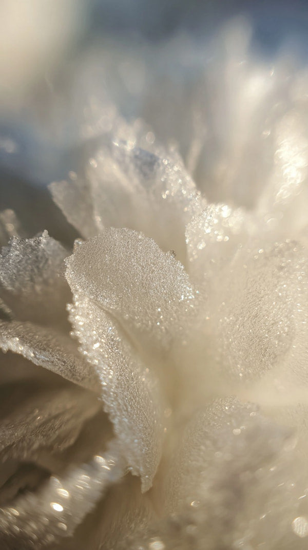 Crystalline Snow Formation — Stock Photo