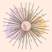 Radial Pattern With A Central Circle Concentric Circles And Lines Emanating From The Center Creating A Starburst Effect — Stock Vector