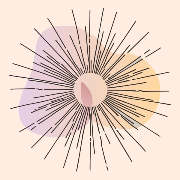 Radial Pattern With A Central Circle Concentric Circles And Lines Emanating From The Center Creating A Starburst Effect — Stock Vector