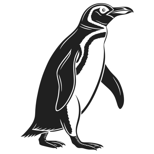 Black And White Illustration Of A Penguin — Stock Vector